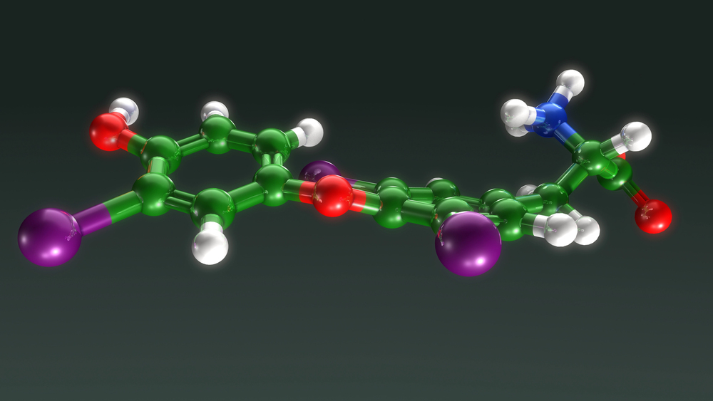 3D ball-and-stick model of a thyroid hormone molecule with iodine, oxygen, nitrogen, and carbon atoms